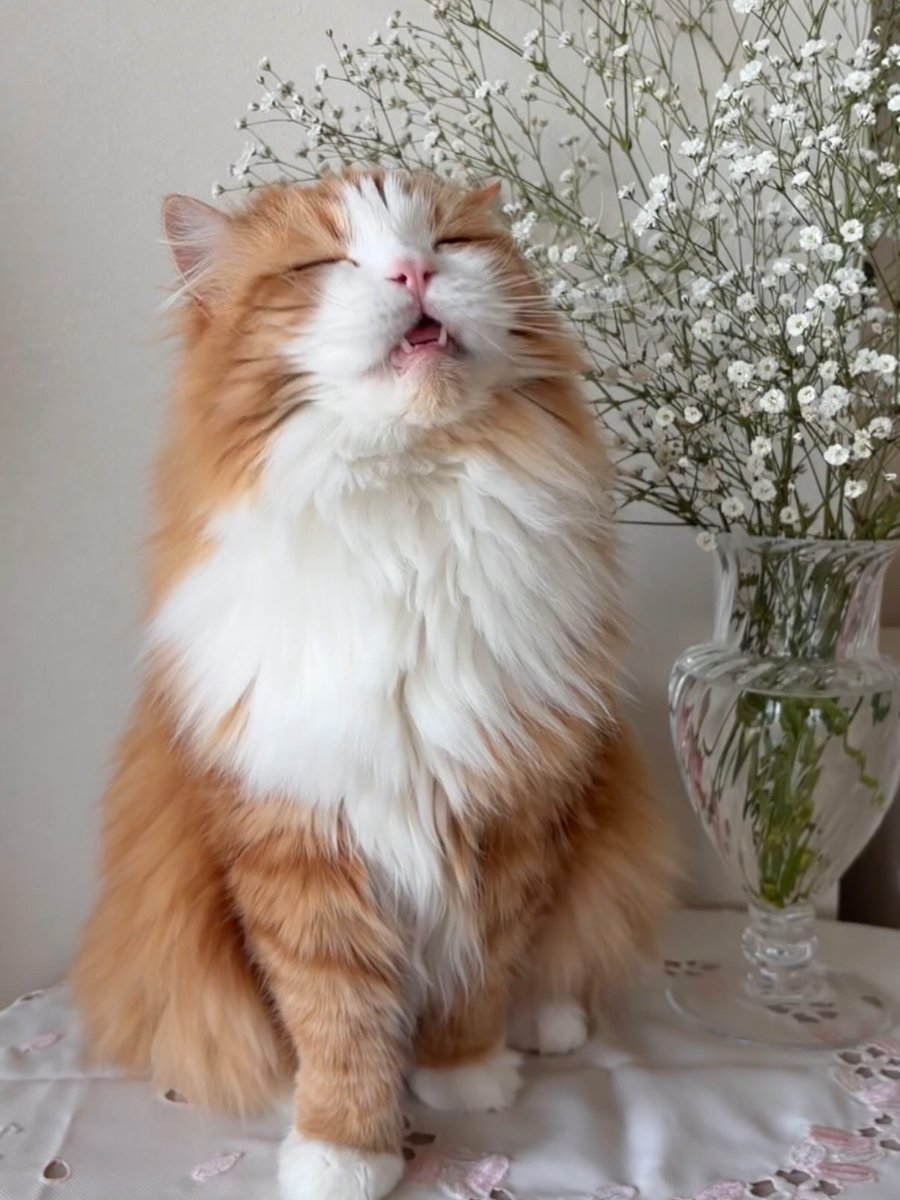 Purely Green tweet media