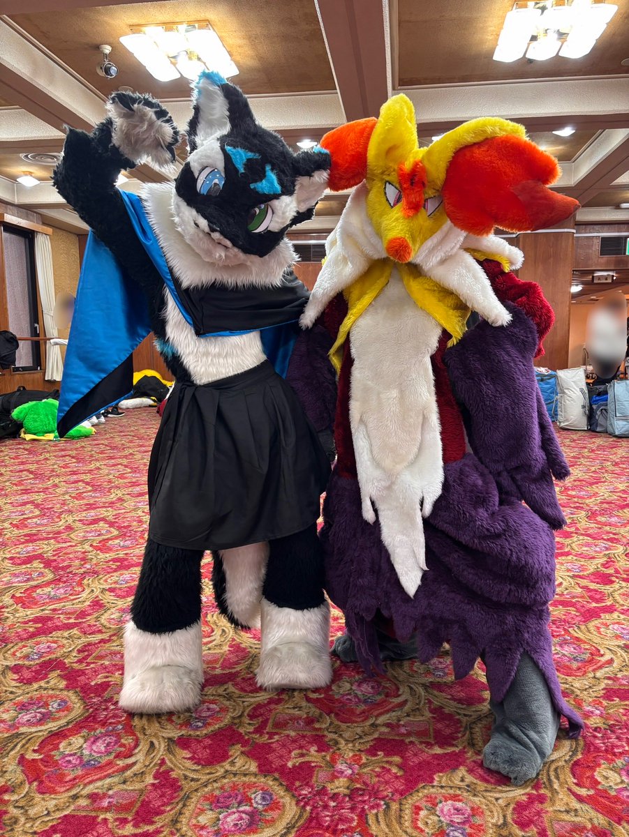 鬼樹(kiki)▶︎▷ tweet media