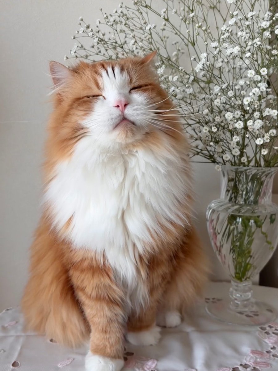 Purely Green tweet media