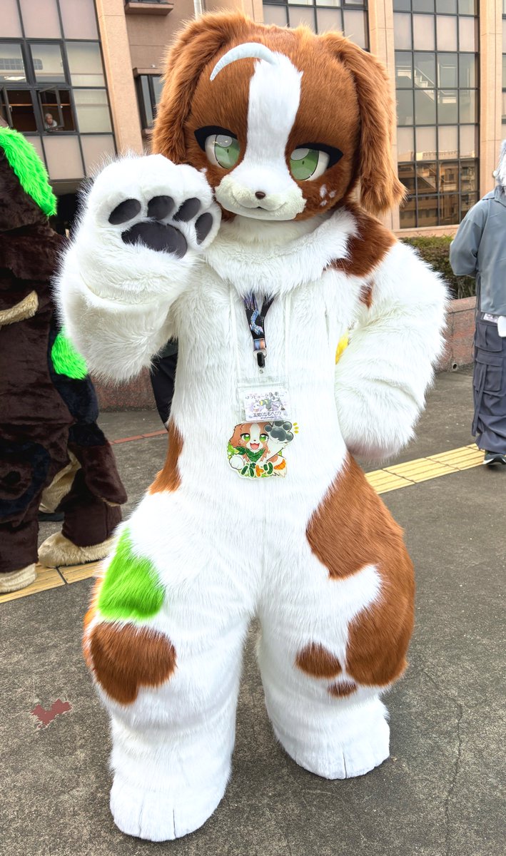 こりいぬ tweet media