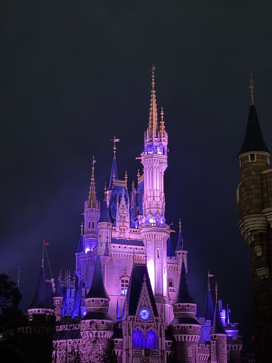 みけこむ🌙*·̩͙ tweet media