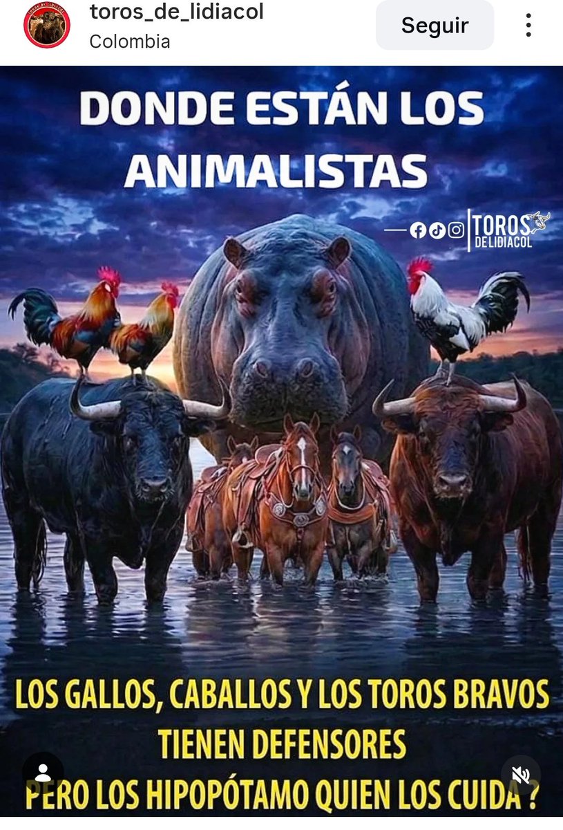 Sergio Barbosa tweet media