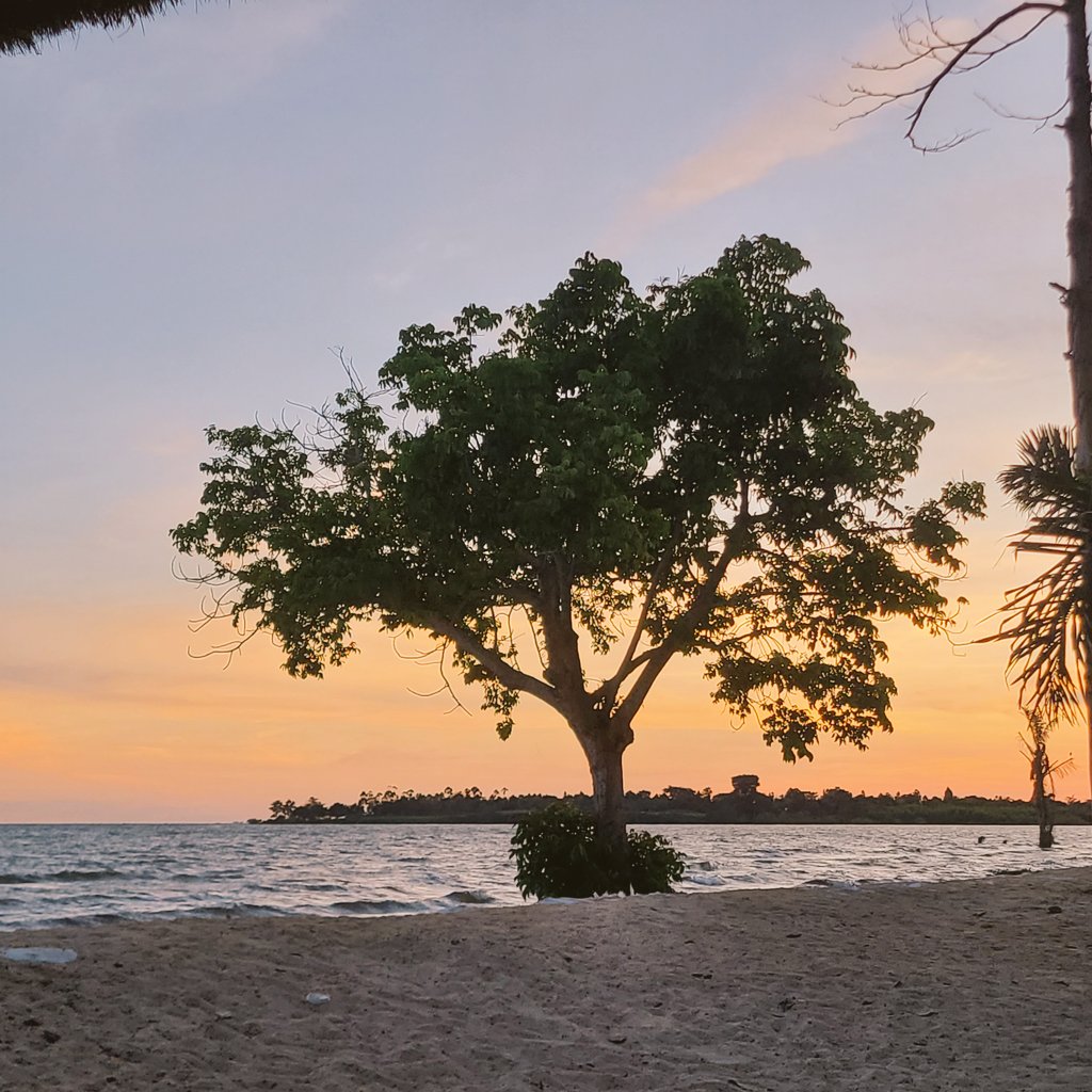 cateliina_'s tweet image. Finding peace where nature meets.😌
A daily reminder to pause and breathe ✨️ 
#exploreUganda #serenity #sunset #goldenhour