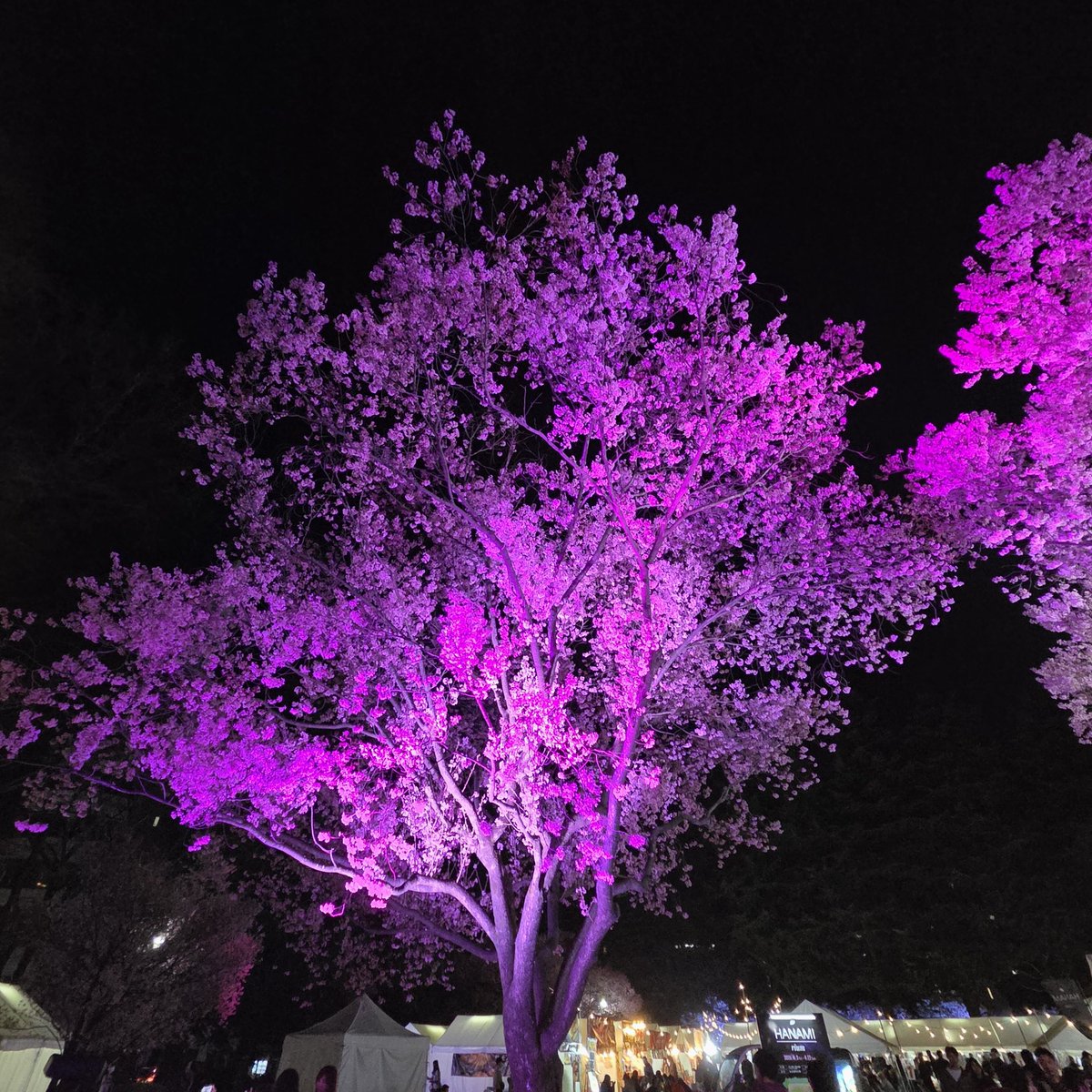 玲(あきら) tweet media