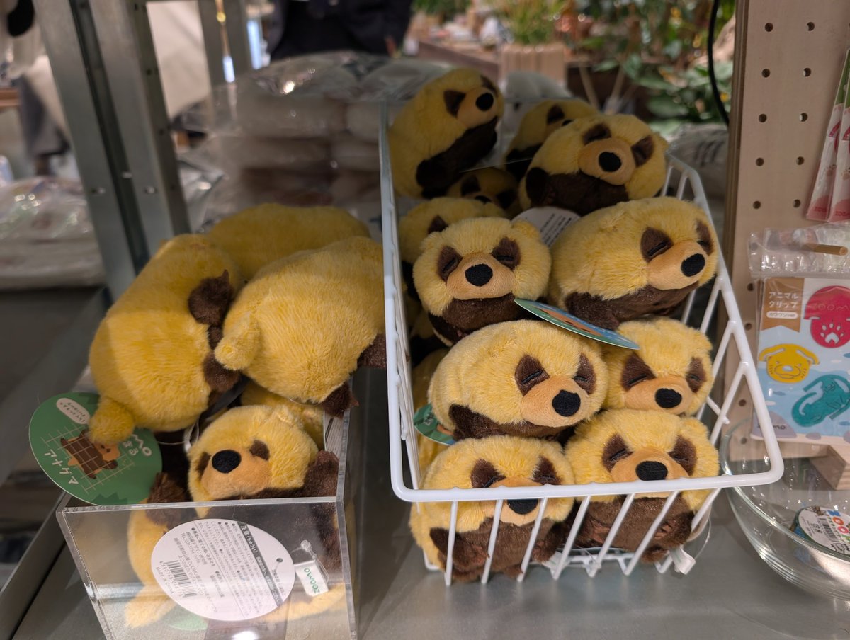 いぇ〜いっ🦡 tweet media