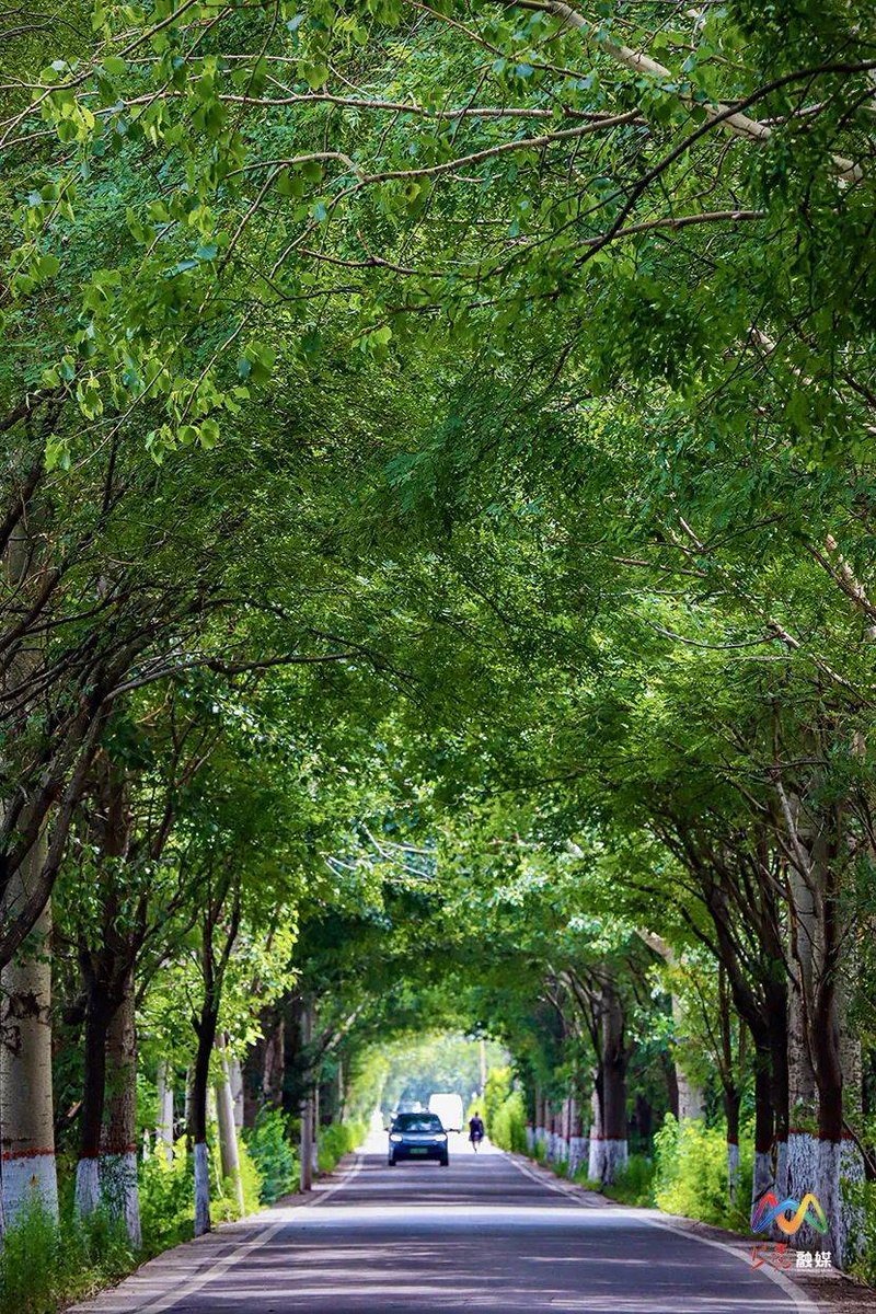 Mesela yani tweet media