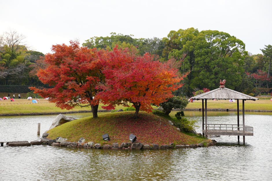 Dakota Wilson tweet media