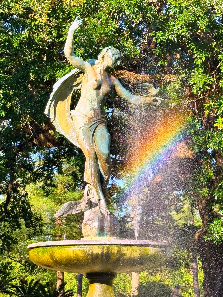 DavidMora's tweet image. “If you truly love nature, you will find beauty everywhere.” – Vincent van Gogh 🌞🌿⛲️🌈🌳 

#AudubonPark #NewOrleans