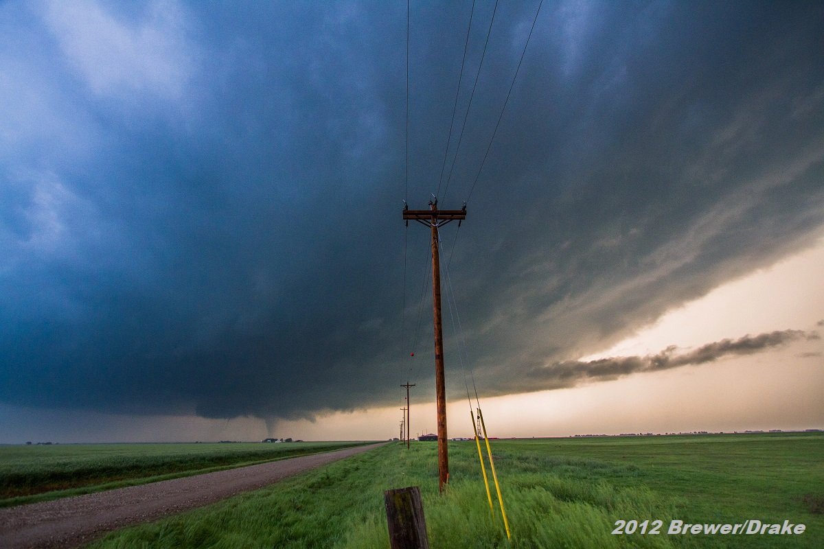 Simon Brewer tweet media