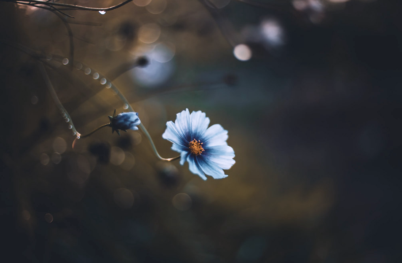 M.M. Madrugada tweet media