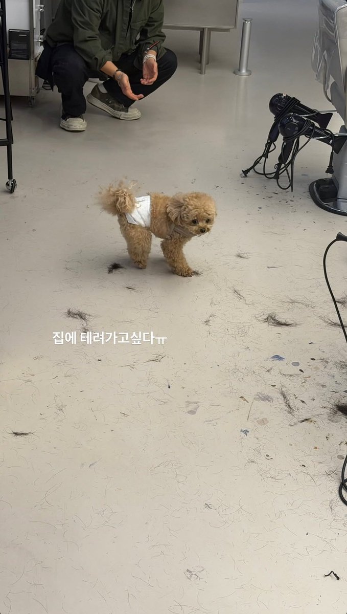 KEP1ER LATAM tweet media