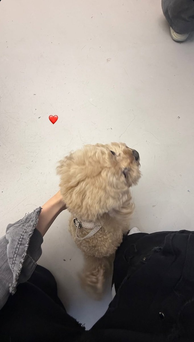 KEP1ER LATAM tweet media