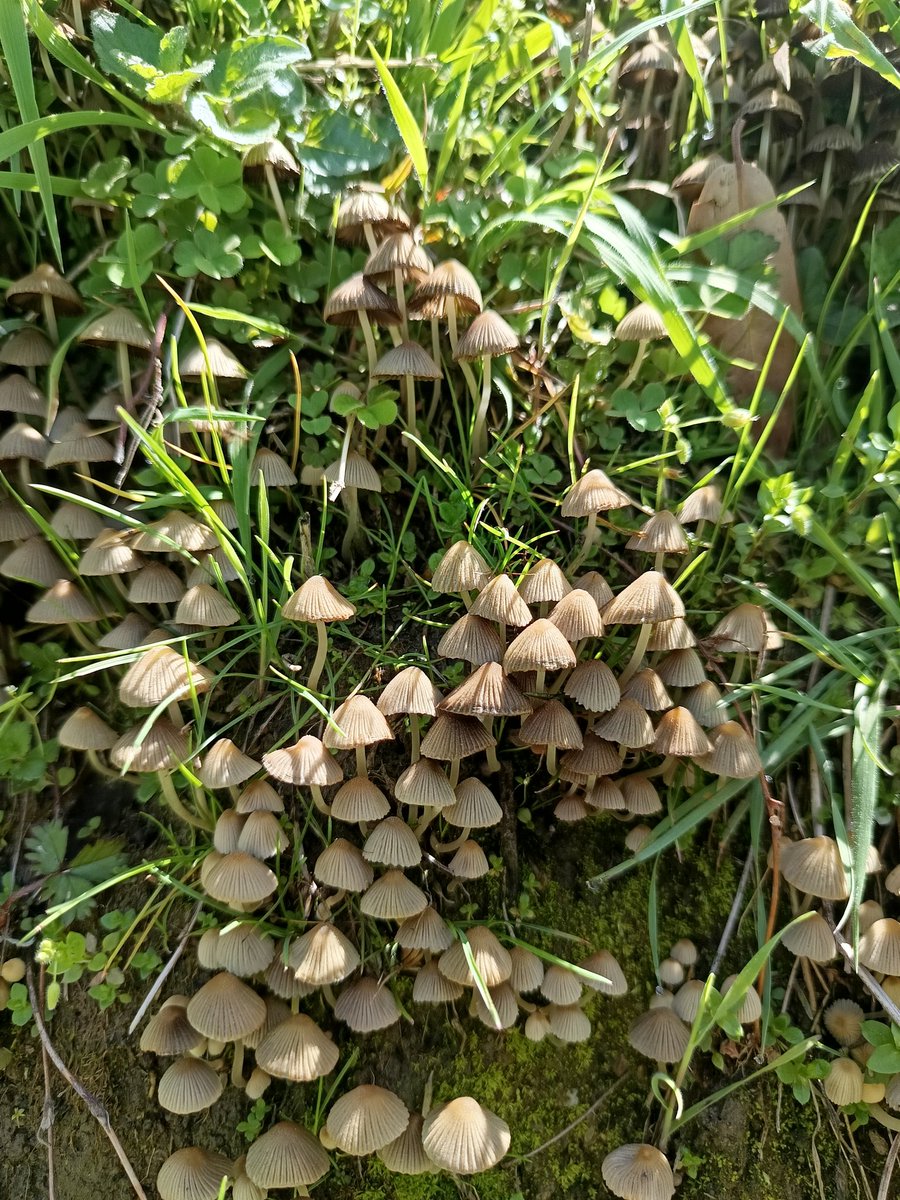 Nature always wears the colors of the spirit.