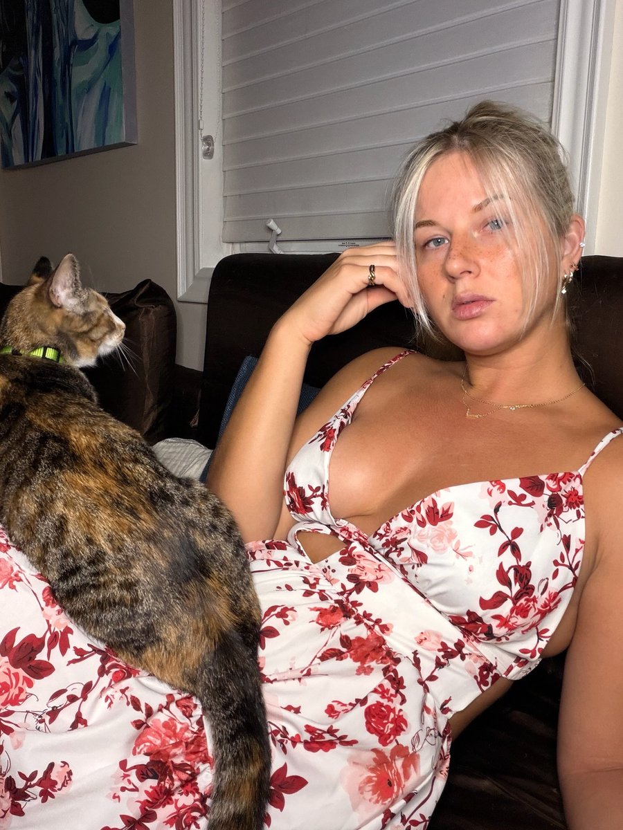 halreyluvs2's tweet photo. Guess my cats name for a surprise. https://t.co/LYnz8lf3dg