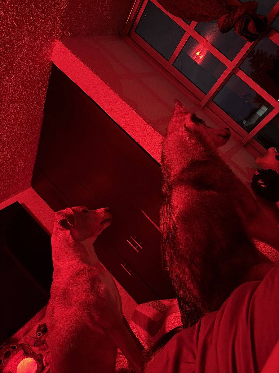 𝒥𝑒𝓃𝓃♡︎ tweet media