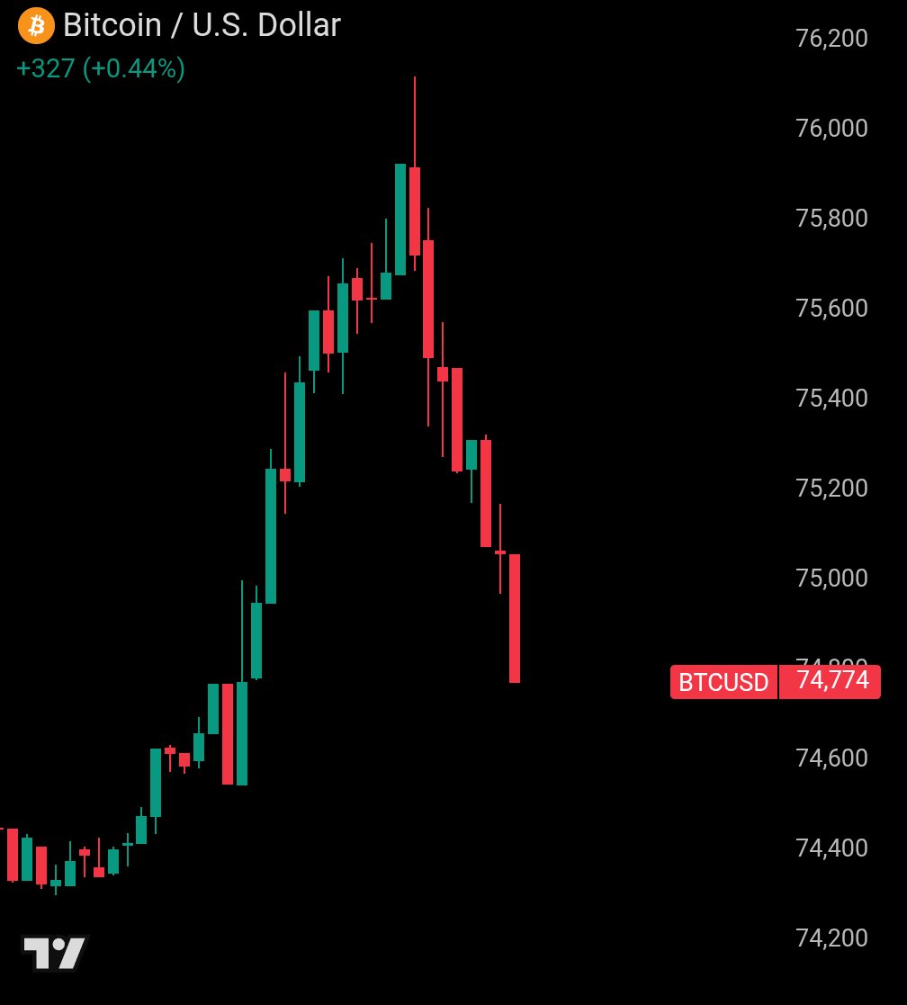 Crypto Rover tweet media