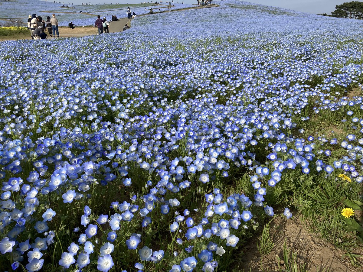 【treize】 tweet media