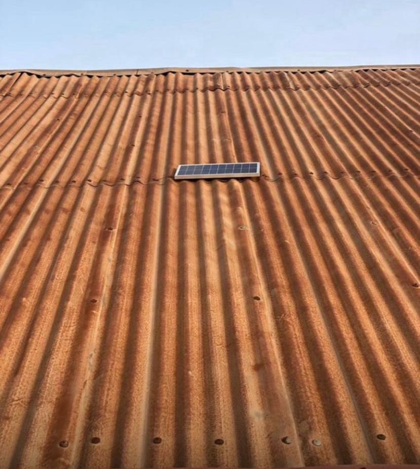 Shollyblaq🖤🦍 tweet media