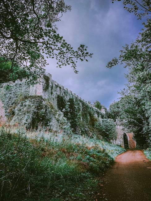 Thomas Ortiz tweet media