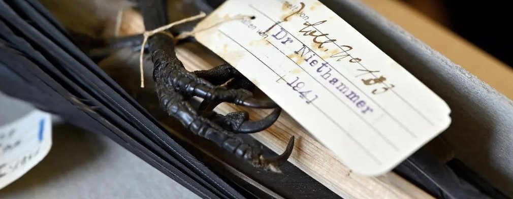 ARCHER at House 88 tweet media