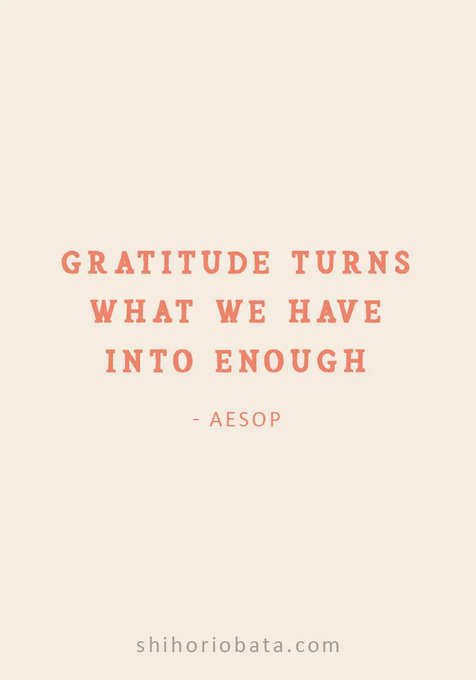 PittstonBearsfan tweet media