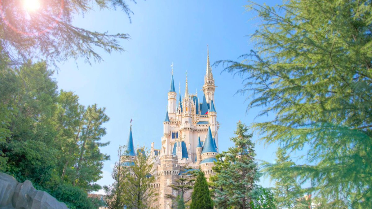 こより～ tweet media