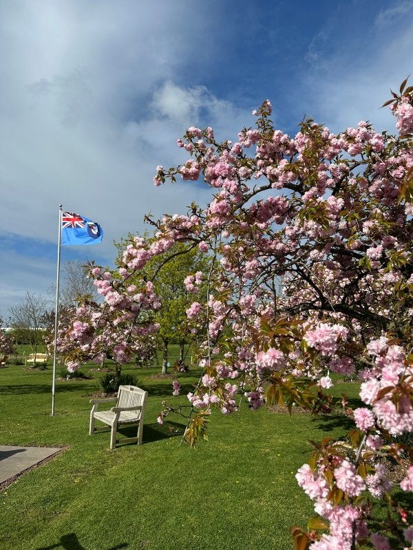 NewarkAirMus's tweet photo. On this date fifty-three (53) years ago 14.04.73 our #GatewayAviationSite was officially opened to the public โ a lot has changed since then!
A photo from the #NAMmemorialGarden during a reflective lunchbreak โ plus some #NAMarchive photos!
https://t.co/CzFXa3CTOO https://t.co/Hwb07I2Vqe