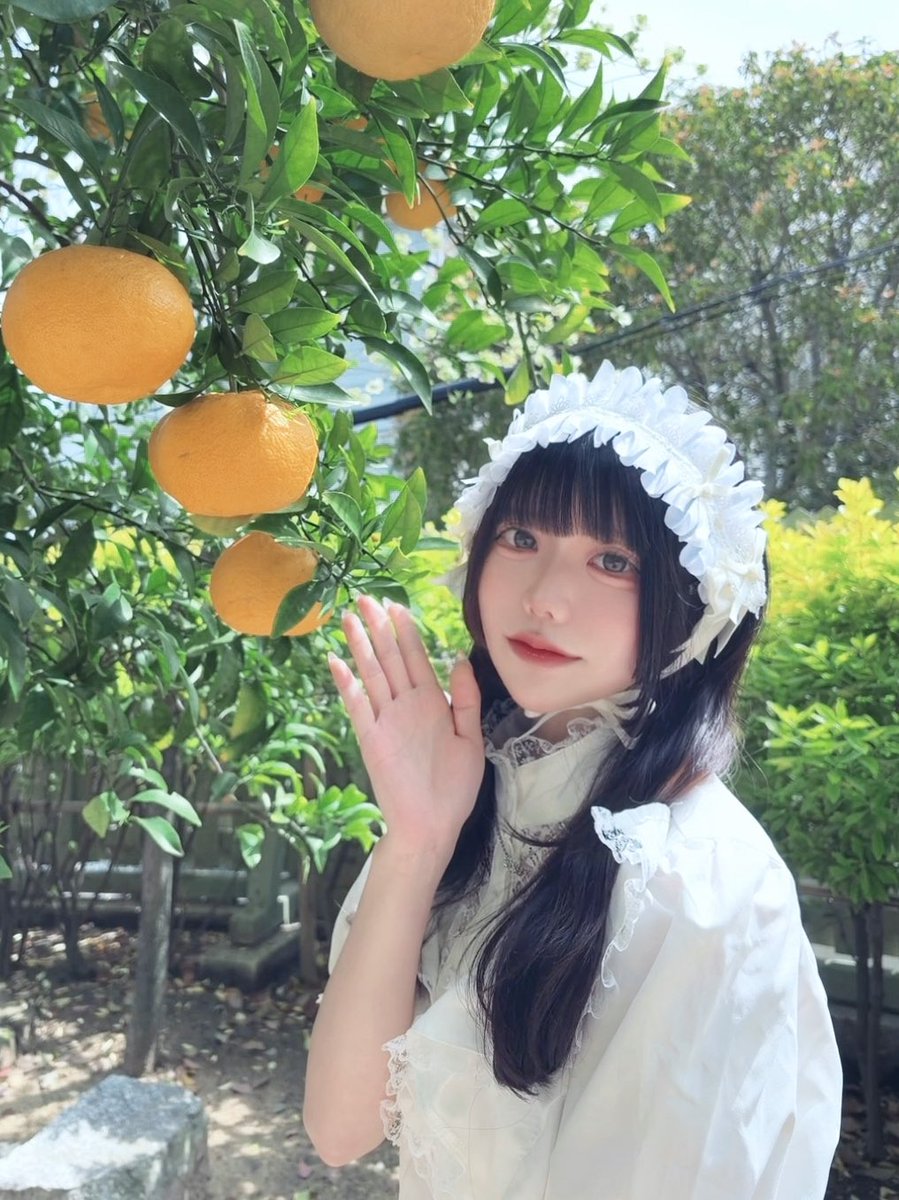 のえる tweet media