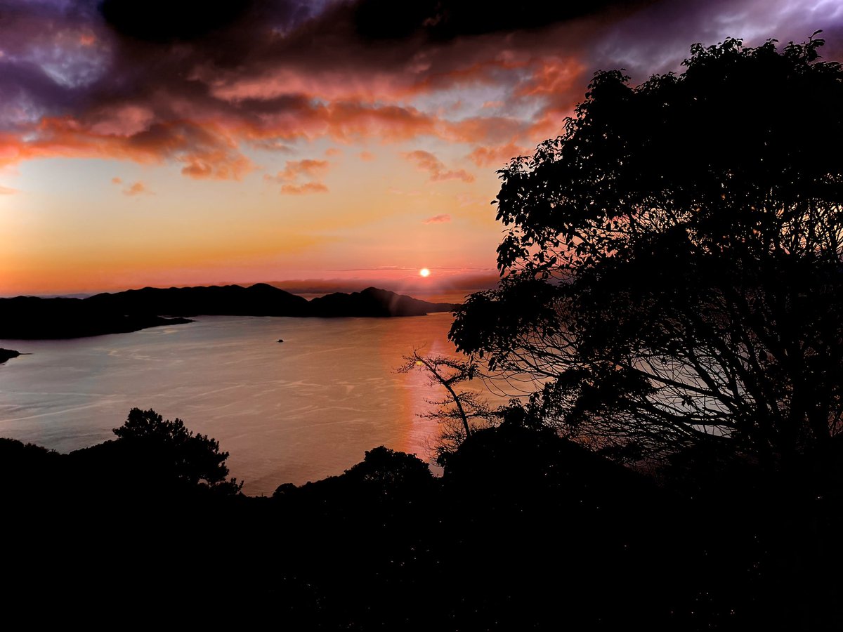 レモンを摂取する尾道市民bot🍋 tweet media