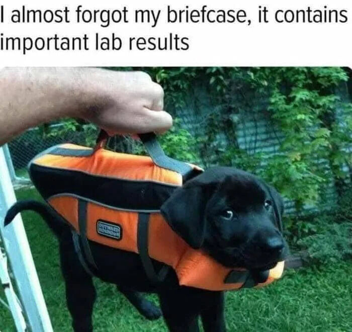 WholesomeMeme's tweet photo. https://t.co/hPWRgAWwwp