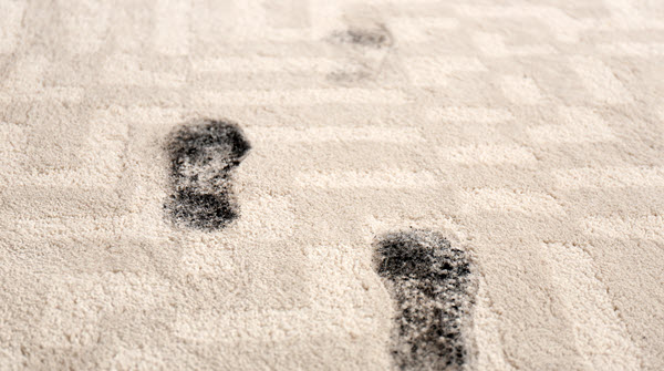 ACleanVision's tweet image. What to do?
Professional Carpet Cleaning
Your carpets come in contact with the bottom of your shoes and boots. My goodness!  ?  ?
A blog post from A Clean Vision 
acleanvision.com/the-pros-and-c…
#HomeCleaning #CleaningTips