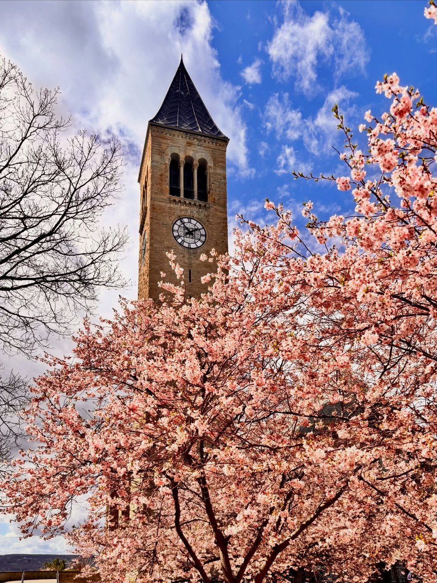 Cornell University tweet media
