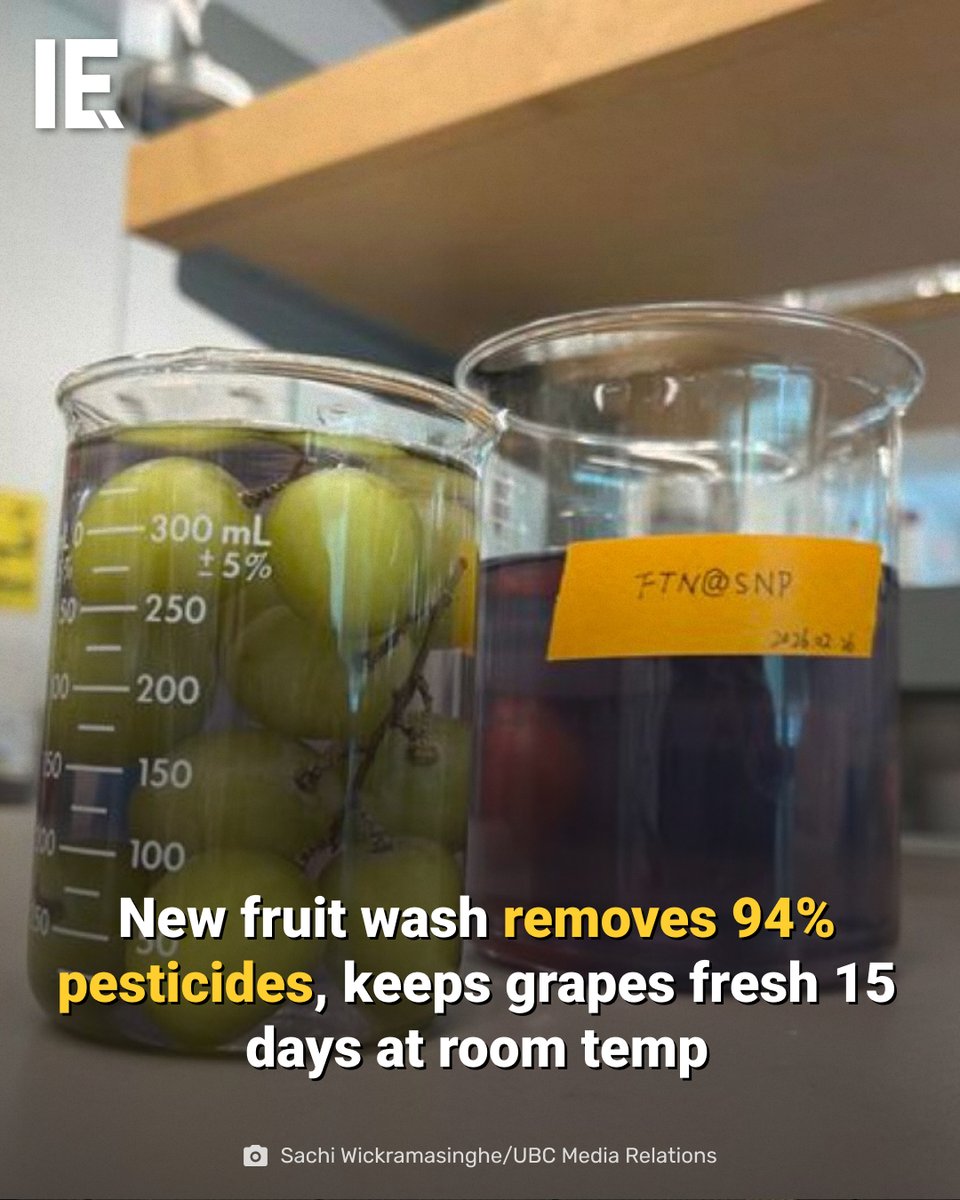 IntEngineering's tweet image. This new fruit wash removes up to 94% of pesticides and keeps fruit fresh longer. bit.ly/3Qm2StP
