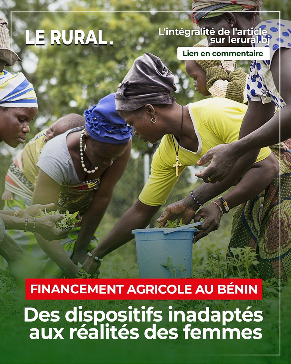 LE RURAL Officiel tweet media