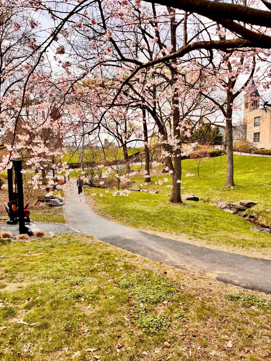 Cornell University tweet media