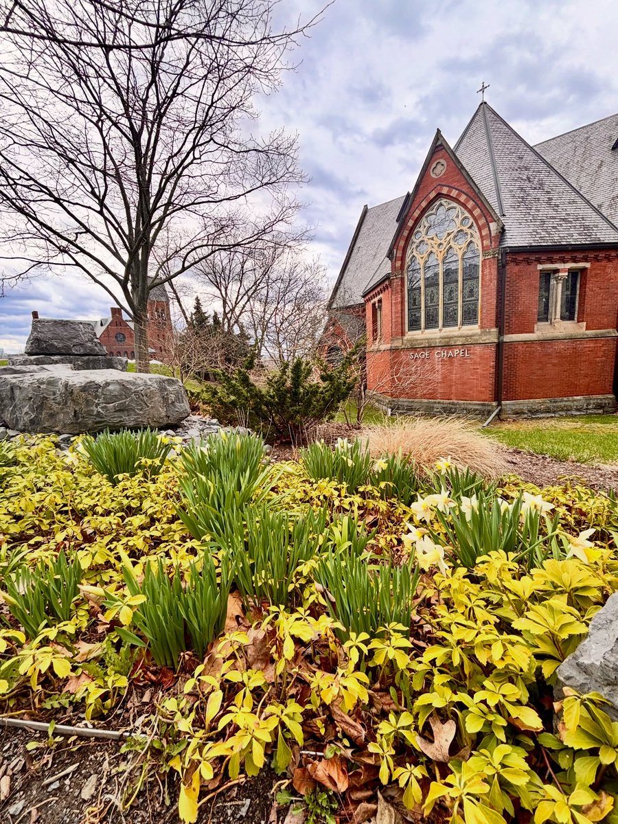 Cornell University tweet media