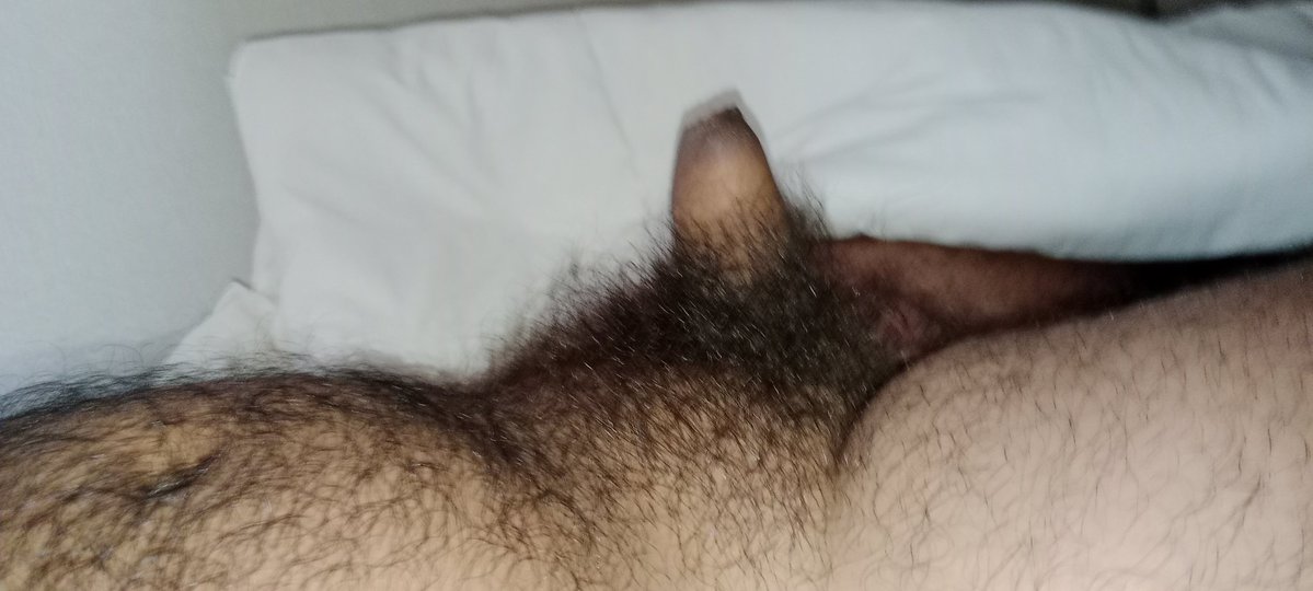 Pequeño pene peludo (@penechicopeludo) on Twitter photo 