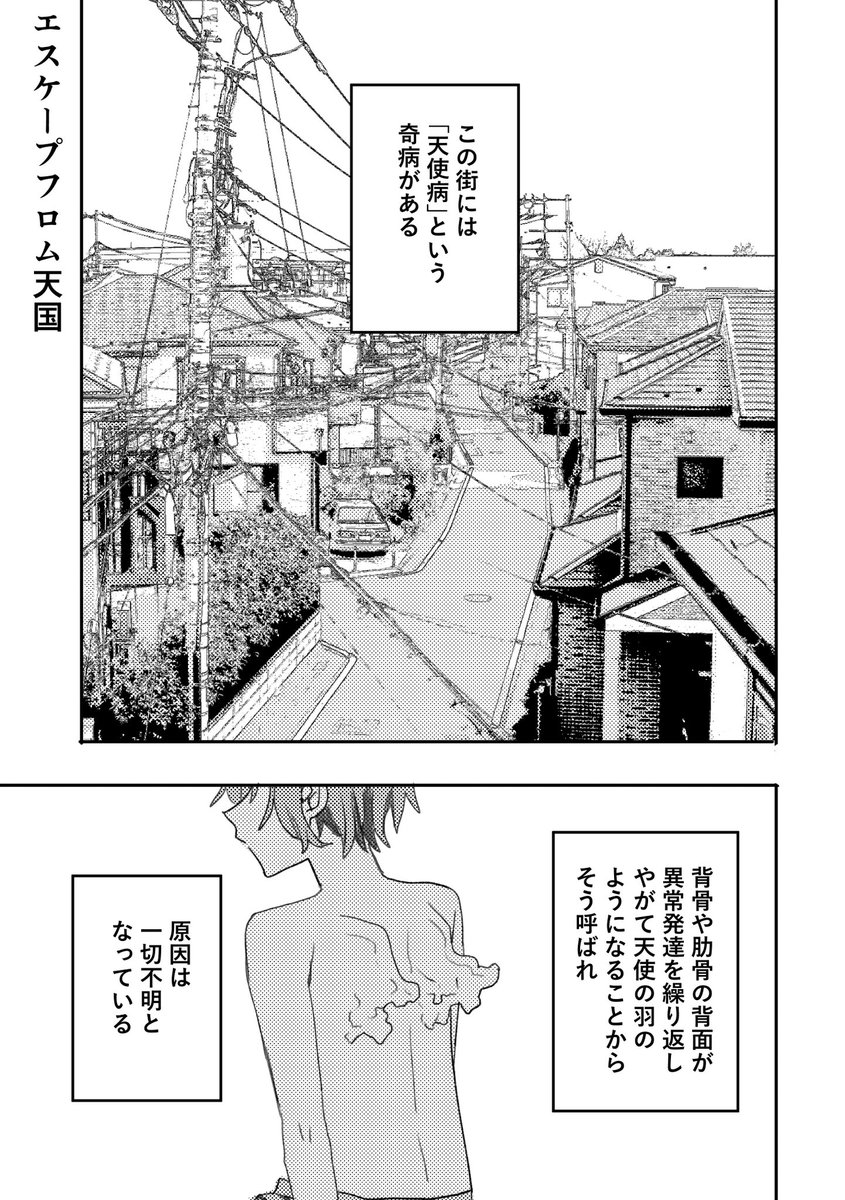 火葬🤍にじそ11南1H-46 tweet media