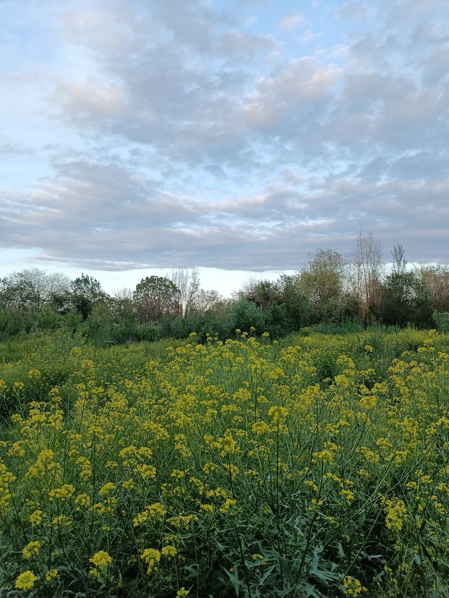 Marty Finch tweet media