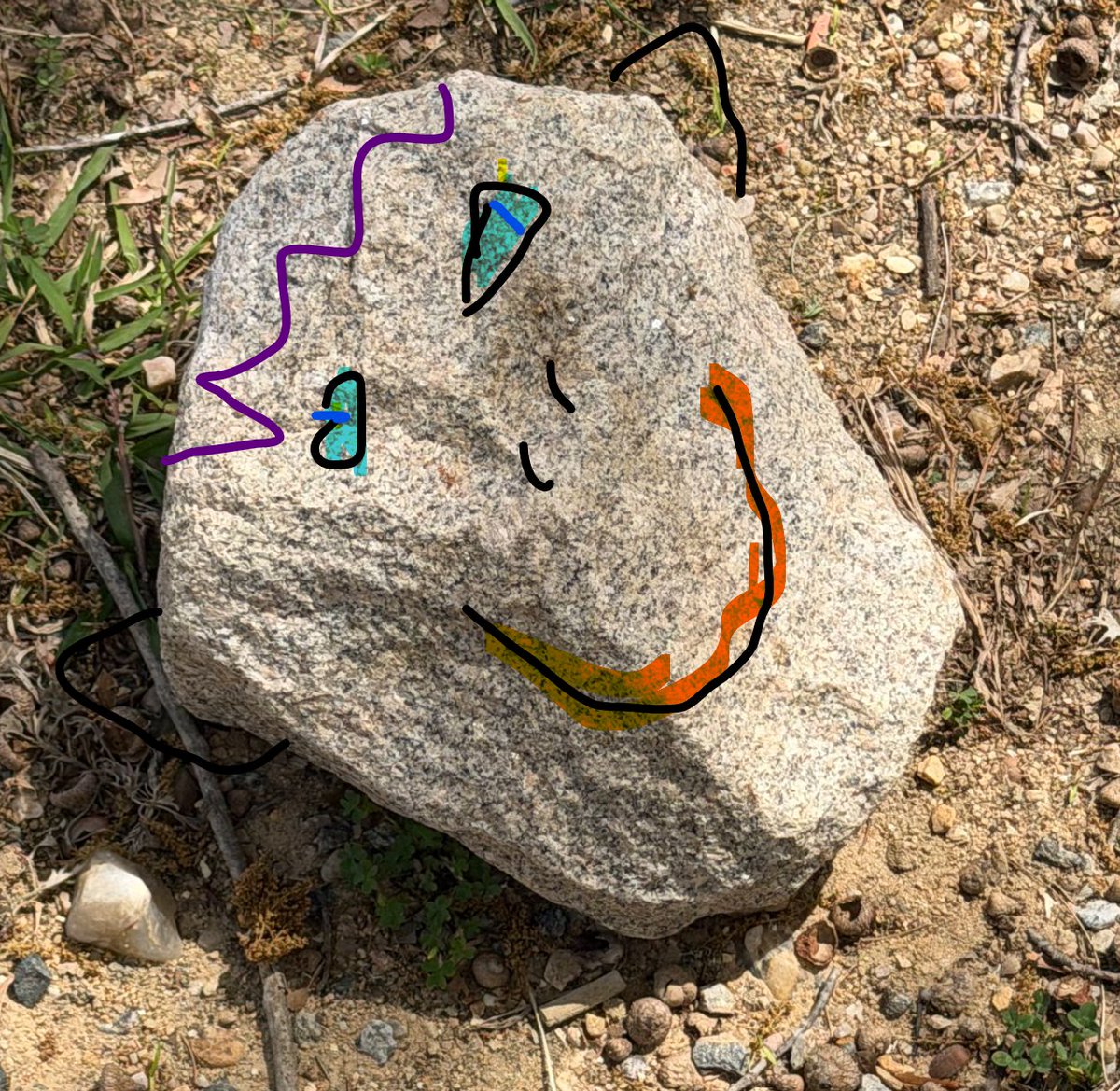 Bitey the dinosaur tweet media