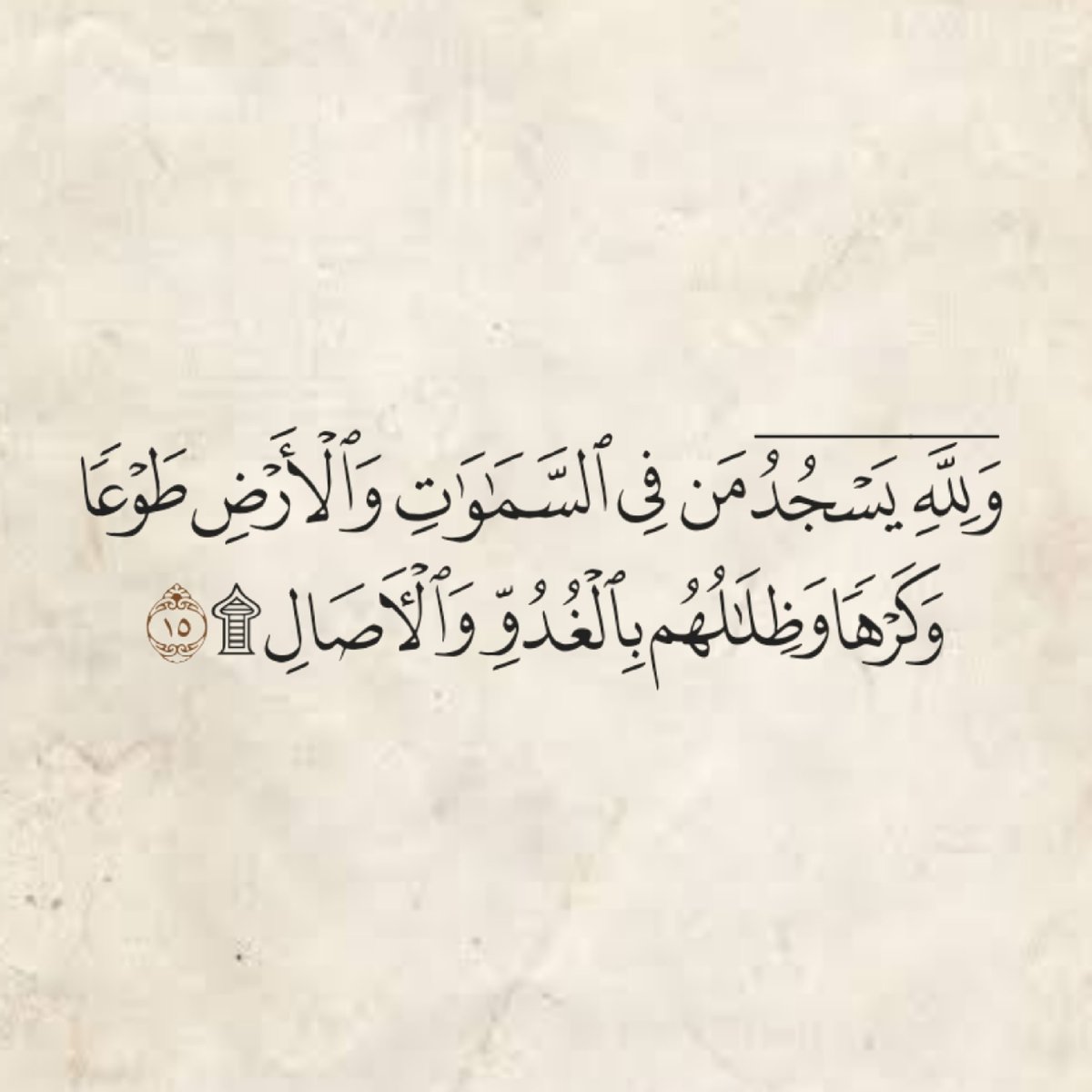 المُصْحَف tweet media