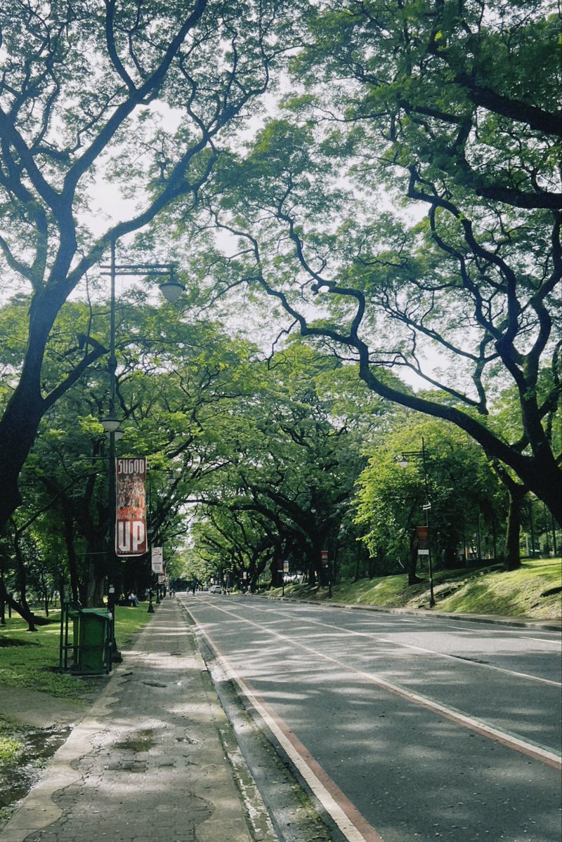 hajime padilla tweet media