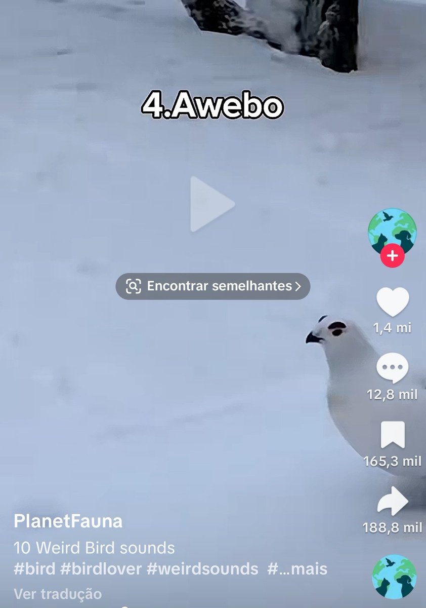 lud letal tweet media