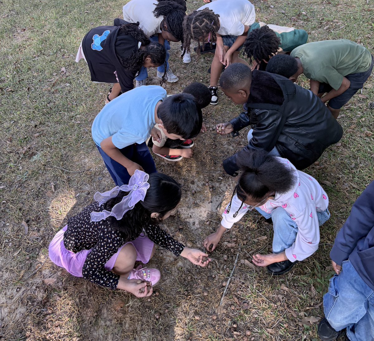 PSE Panthers Music tweet media