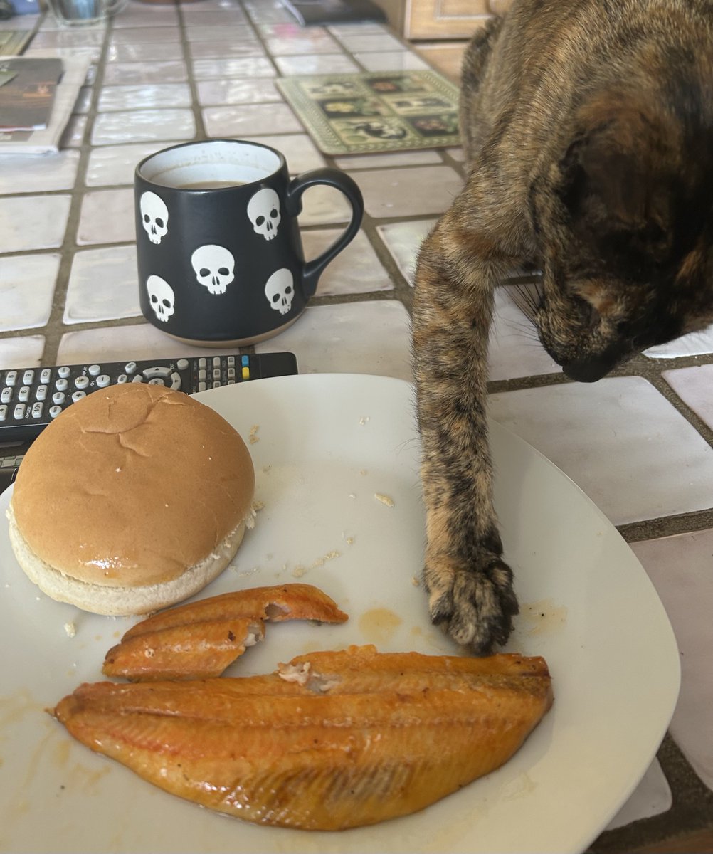 D.V. Catt tweet media