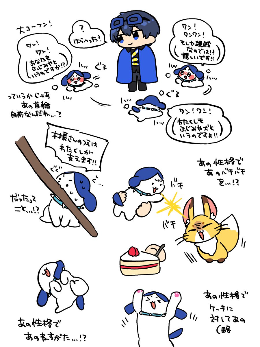 j_twinseeds's tweet photo. 🐶の可能性の広さを噛み締める日々 https://t.co/JT8cIDicn9