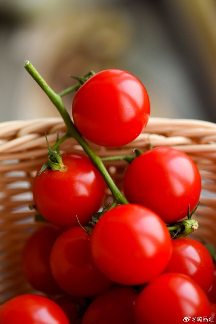 Julius Koch tweet media