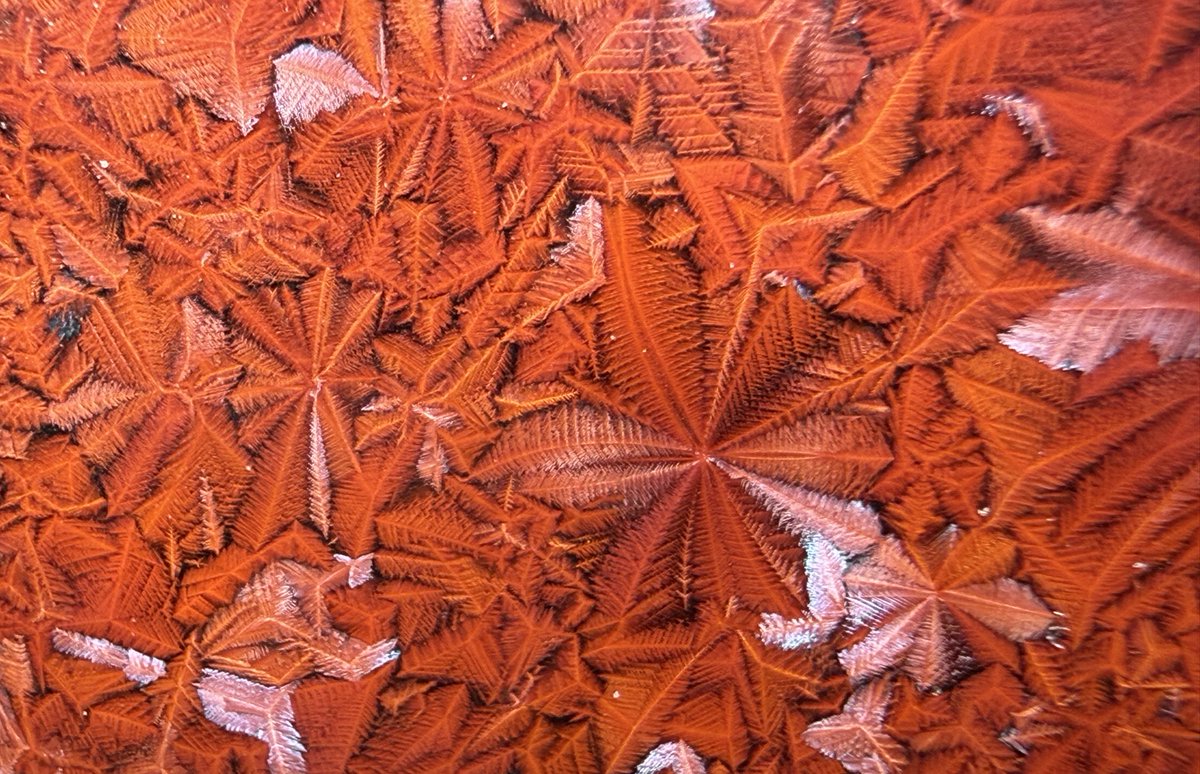 withagate's tweet image. 紅葉石と紅葉🍁
 #魅力ある赤を見せてください見た人全員強制