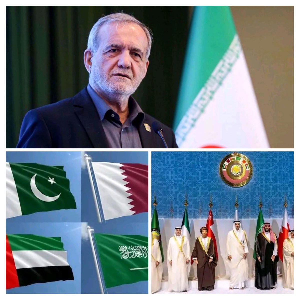 SAHEL Brut tweet media