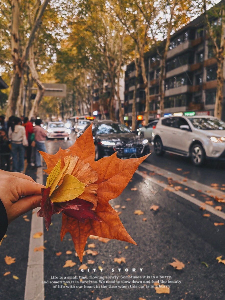 katsarin saengdee tweet media